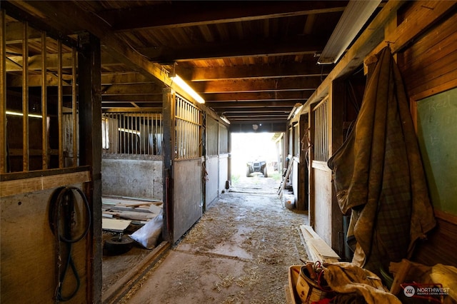 view of horse barn