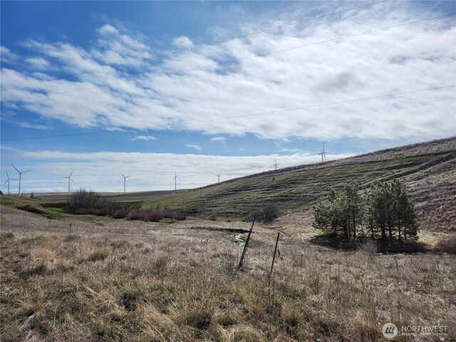 701 Dooley Rd, Centerville, WA 98613