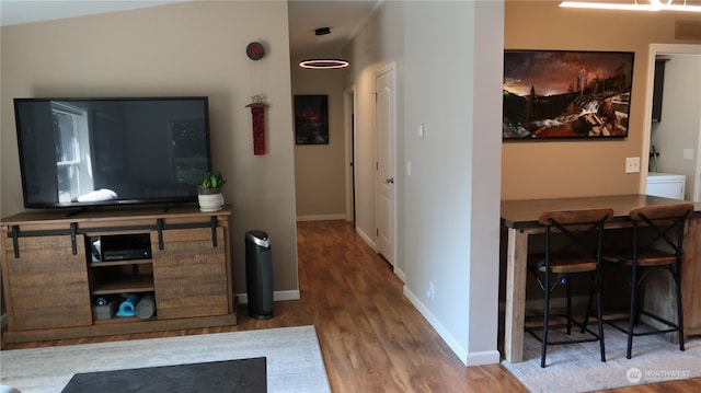 living room featuring wood-type flooring