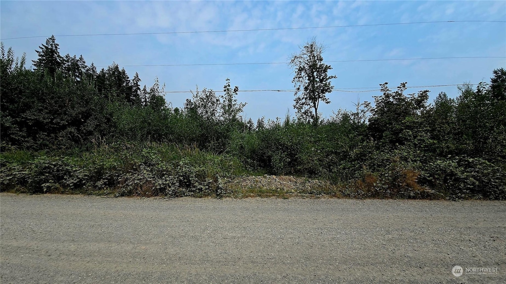 8421 266th St E, Graham, WA 98338