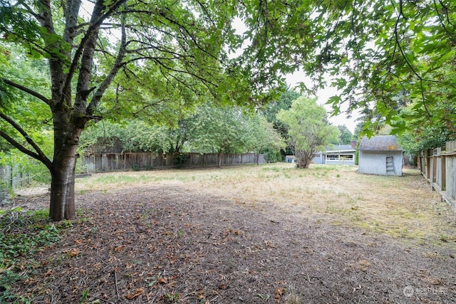 view of yard with a storage unit