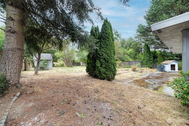 view of yard featuring a shed