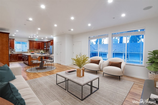 living room with sink and light hardwood / wood-style floors