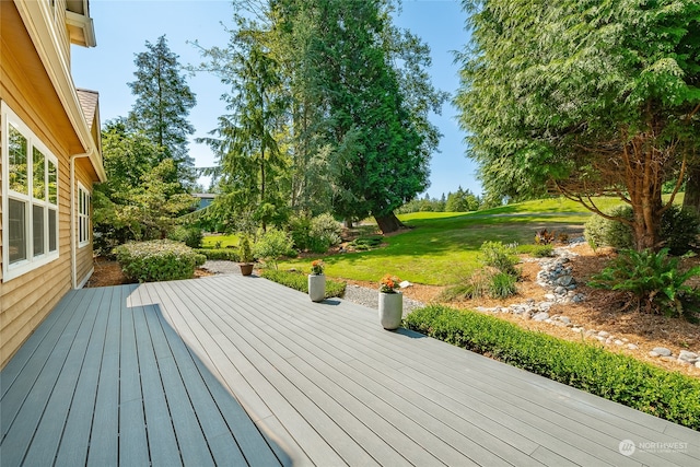 deck featuring a lawn