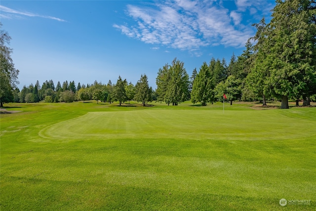 view of community featuring a lawn