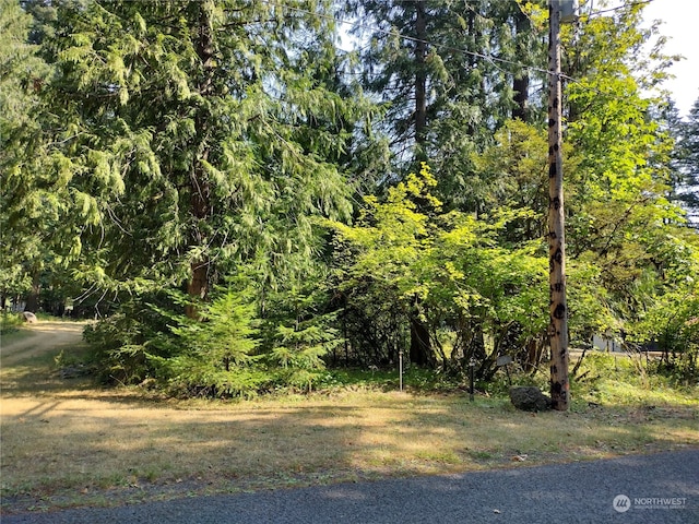 0LOT6 Crescent Beach Dr, Packwood WA, 98361 land for sale