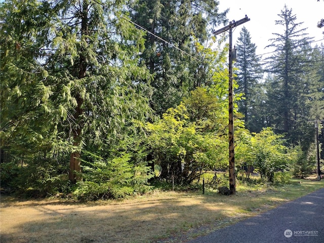 Listing photo 2 for 0LOT6 Crescent Beach Dr, Packwood WA 98361