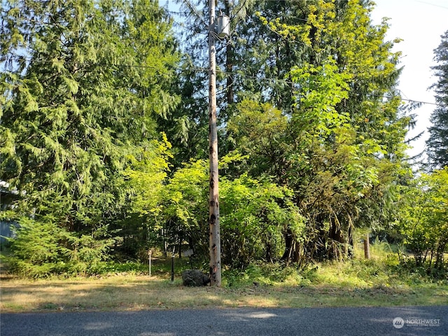 Listing photo 3 for 0LOT6 Crescent Beach Dr, Packwood WA 98361