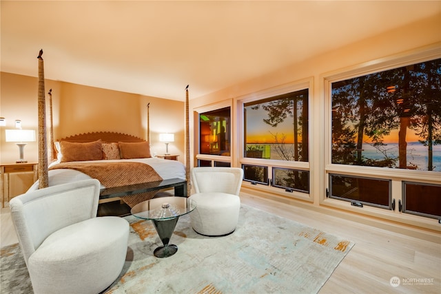 bedroom featuring light hardwood / wood-style flooring