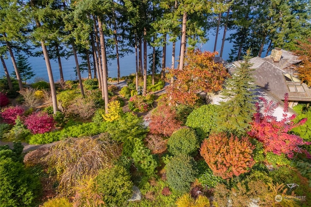 view of yard with a water view