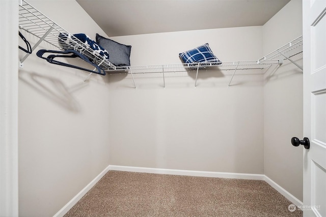 spacious closet with carpet flooring