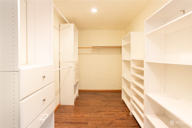 spacious closet with hardwood / wood-style flooring