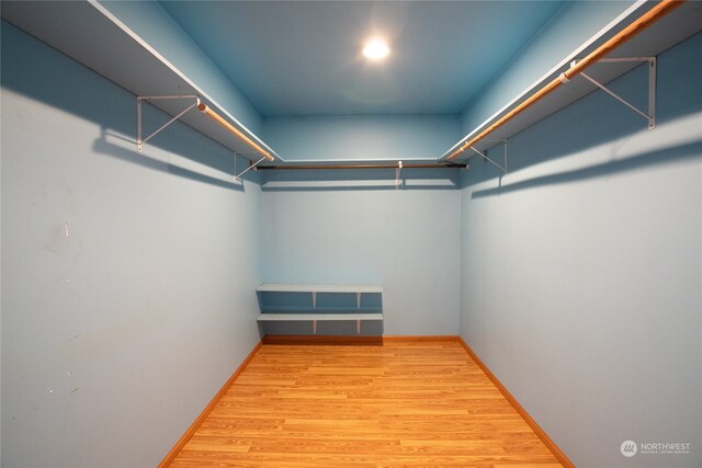 walk in closet featuring wood-type flooring