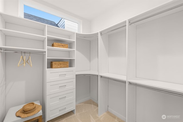 spacious closet with light carpet