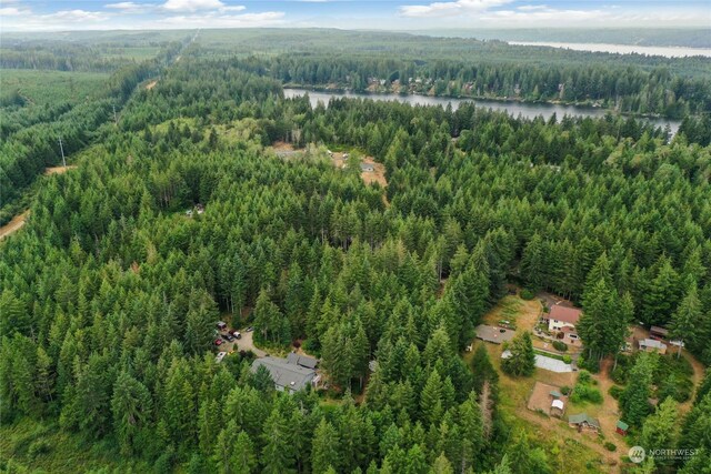 181 E Elaine Pl, Belfair, WA 98528 - photo 38
