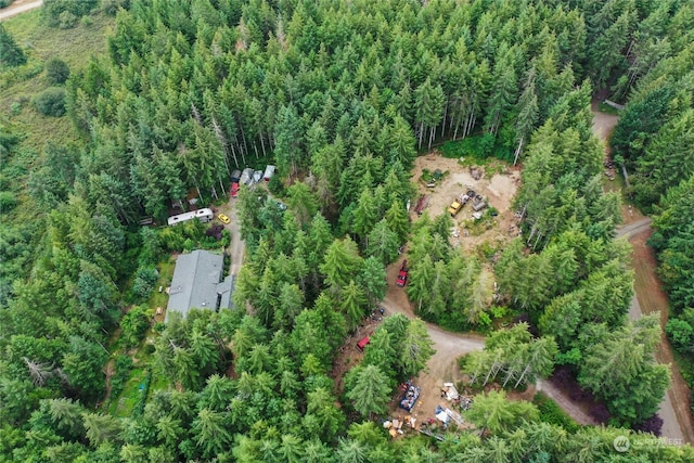 181 E Elaine Pl, Belfair, WA 98528 - photo 39