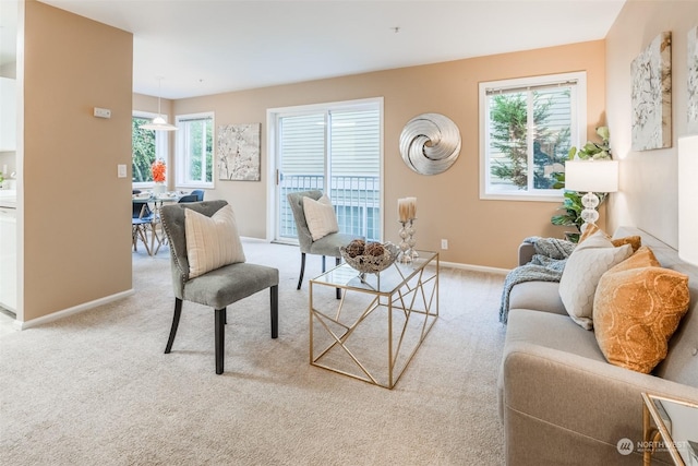 carpeted living room featuring baseboards and a wealth of natural light