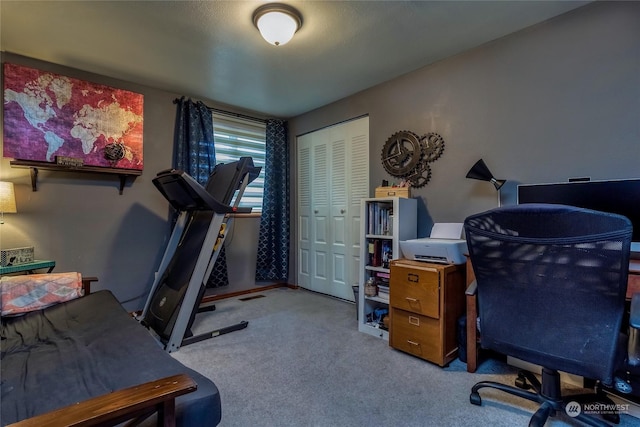 office featuring light colored carpet