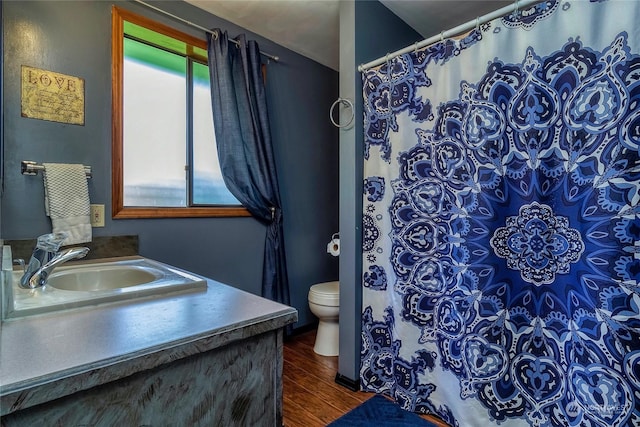 bathroom with vanity, hardwood / wood-style floors, and toilet