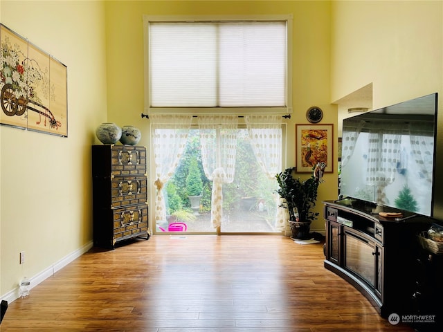 interior space featuring a towering ceiling and wood-type flooring