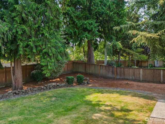 view of yard featuring a fenced backyard