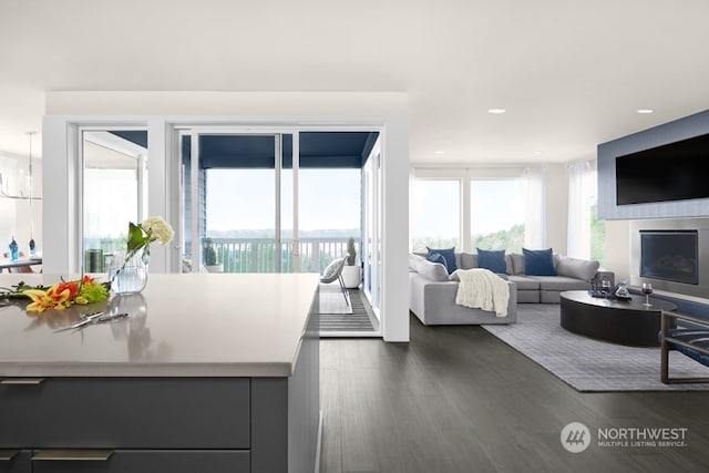 living room featuring plenty of natural light and dark hardwood / wood-style floors