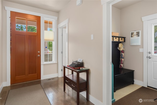 entrance foyer with hardwood / wood-style flooring and a healthy amount of sunlight