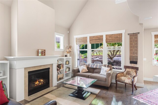 living room featuring high vaulted ceiling and hardwood / wood-style flooring