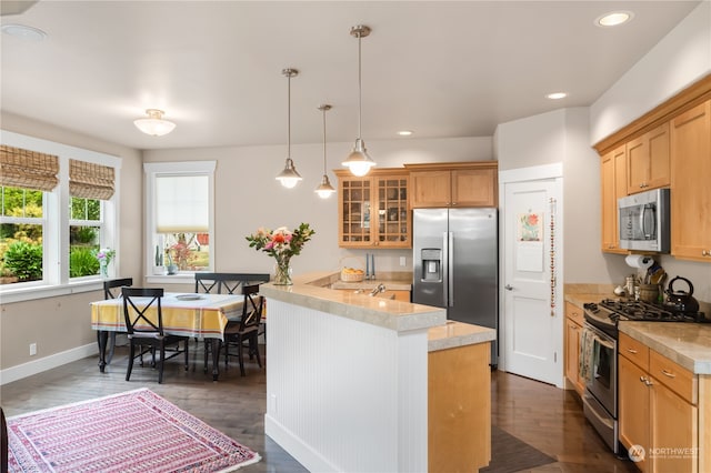 kitchen featuring stainless steel appliances, dark wood-type flooring, and pendant lighting