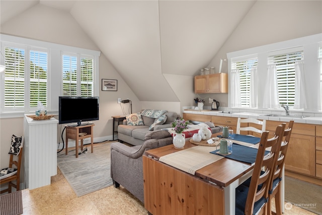 living room featuring lofted ceiling and sink