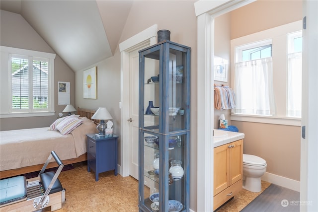 bedroom with lofted ceiling and multiple windows