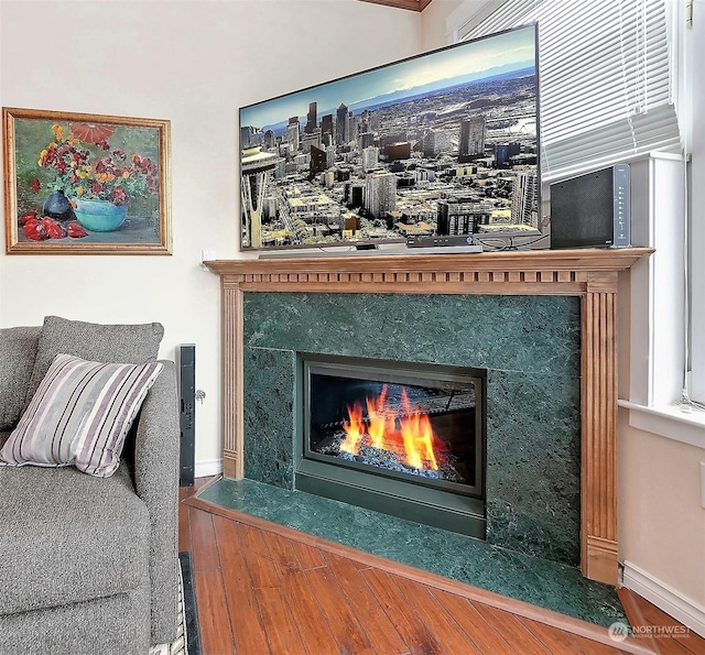 interior details featuring wood-type flooring and a fireplace