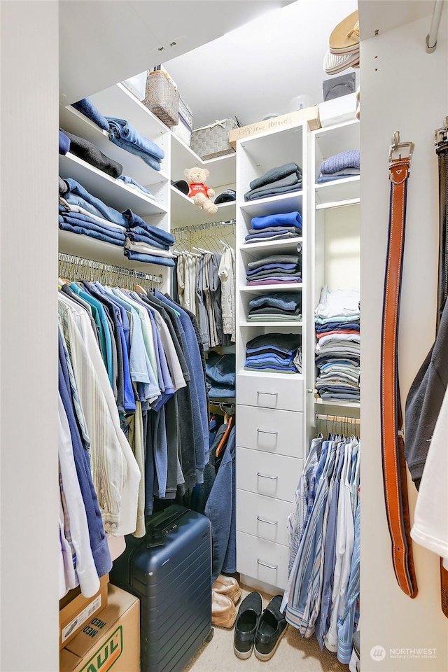 view of walk in closet