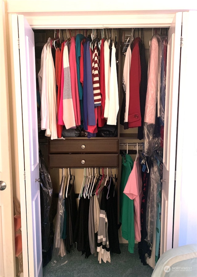 view of closet