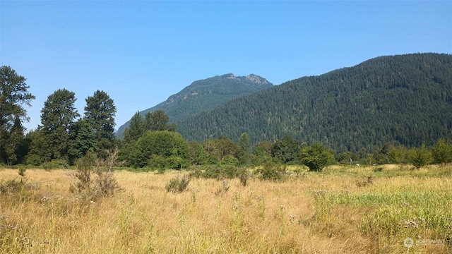 0LOTB9C Lone Tree Rd, Randle WA, 98377 land for sale