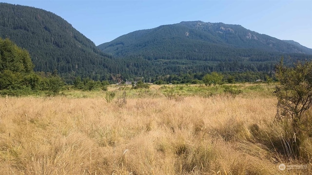 0LOTB8C Lone Tree Rd, Randle WA, 98377 land for sale