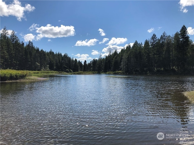 0 W Clear Lake-, Shelton WA, 98584 land for sale