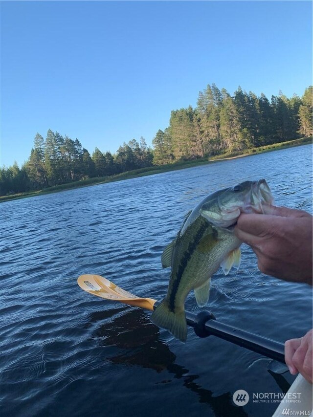 0 W Clear Lake-, Shelton, WA 98584