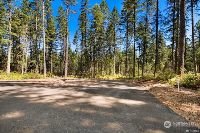 0 W Clear Lake-, Shelton, WA 98584