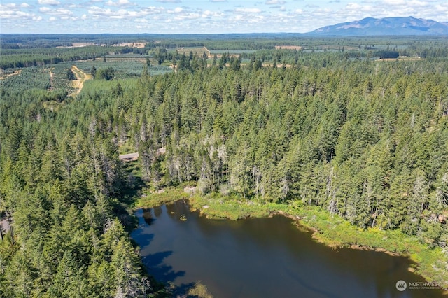 0 Clear Lake-, Shelton, WA 98584