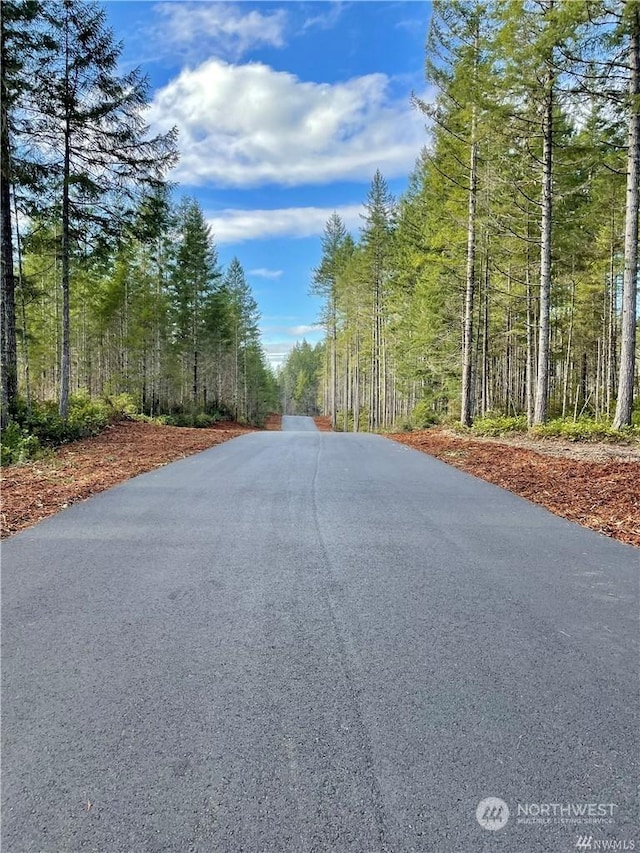 0 Clear Lake-, Shelton, WA 98584