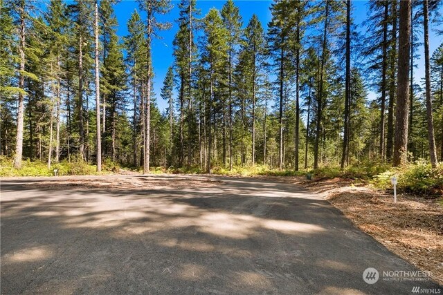 0 Clear Lake-, Shelton, WA 98584