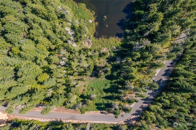 0 Clear Lake-, Shelton, WA 98584