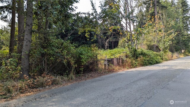 21512 101st St, Bonney Lake, WA 98391 - photo 5