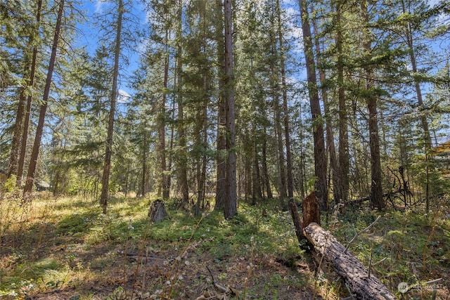 Listing photo 2 for 0LOT56 Kokanee Loop, Cle Elum WA 98922