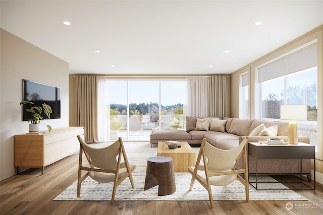 living room with light hardwood / wood-style flooring and a wealth of natural light