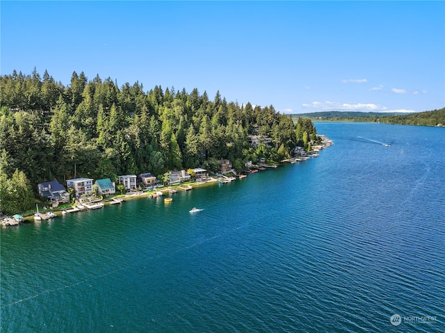 bird's eye view with a water view