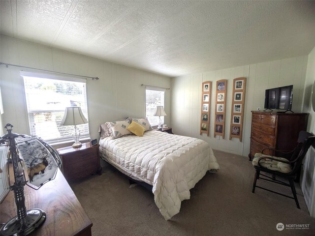 carpeted bedroom with multiple windows and a textured ceiling