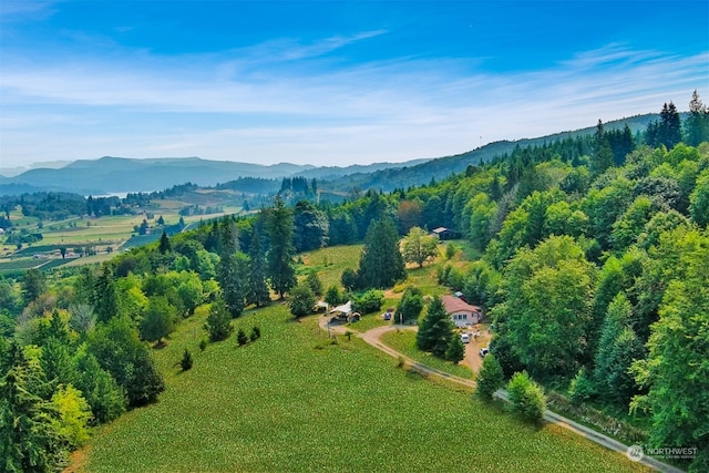 birds eye view of property with a mountain view