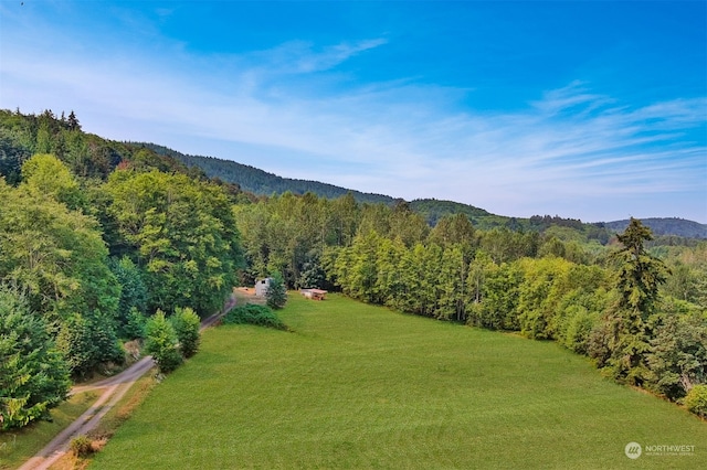 birds eye view of property featuring a mountain view